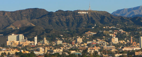Hollywood Tree Services